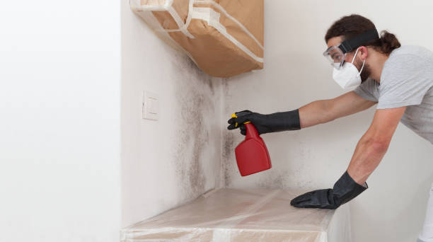 Professional Mold Cleanup technician working in Palisades Park, NJ