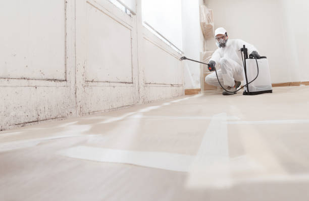 24/7 Emergency Mold Cleanup experts in Palisades Park, NJ