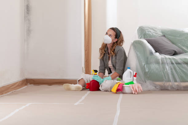 Reliable Mold Cleanup contractor in Palisades Park, NJ by WQB Mold Removal